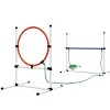 3 Piece Dog Agility Training Set with Adjustable Hurdles and Carry Bag,Outdoor Dog Obstacle Course for Exercise - LAOTIES - 4 of 4