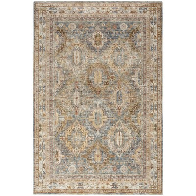 Nourison Petra Oramental Indoor Rug