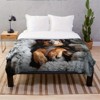 Lomsoe Adorable Puppy Blanket - Soft Flannel All Season Cozy Throw for Car, Home & Outdoor Use - Contemporary Style Pet Blanket. - 4 of 4