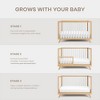 Comfy Cubs Baby Crib for 0 to 3 Years - Adjustable Mattress Height - 80 lbs Capacity Nursery Bed - 4 of 4