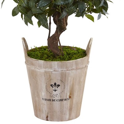 4.5' Sweet Bay Silk Double Topiary in Rustic Farmhouse Planter