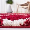 Dallas Shag SGD257 Power Loomed Area Rug  - Safavieh - 4 of 4