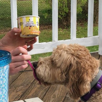 Ice cream for dogs target best sale