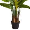 54" Artificial Traveler's Palm Tree in Pot Black - Nearly Natural - image 3 of 3