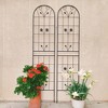 NicBex Metal Trellis for Climbing Plants Outdoor Plant Trellis Indoor Rust-Proof Plant Stakes for Garden - 3 of 4
