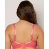 Curvy Couture Sheer Mesh Push Up - 4 of 4