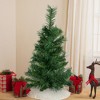 Northlight 2' Medium Royal Pine Artificial Christmas Tree - Unlit - 2 of 4
