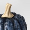 Large Pumpkin Figurine - Hyde and EEK! Boutique™ - 3 of 3