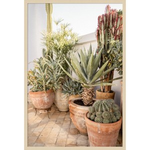 Amanti Art Patio Garden with Potted Succulents by Henrike Schenk Wood Framed Wall Art Print - 1 of 4