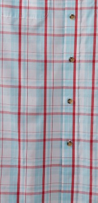 cool blue plaid