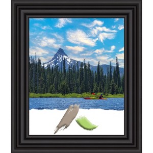 Amanti Art Colonial Black Picture Frame - 1 of 4
