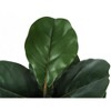 Monarch Specialties Artificial Plant 49 inch Tall Fiddle Tree Indoor Faux Fake Floor Greenery Potted Real Touch Decorative Green Leaves Black Pot - 4 of 4