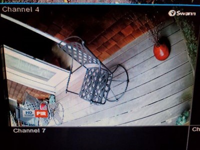 Guest review image 1 of 6, zoom in