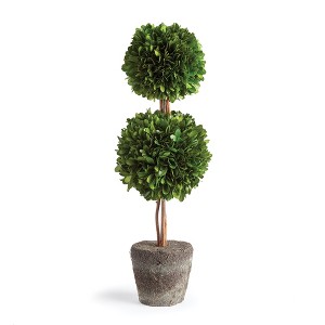Plum & Post Boxwood Double Sphere Topiary Drop-In 20" - 1 of 4