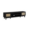 Modern Rattan-Door Low TV Stand for TVs up to 80 inches - 3 of 4