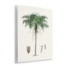 Stupell Industries Vintage Palm Tree Study Wall Plaque Art - 2 of 4