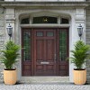 Tall Planters Set of 2, Outdoor Self Watering Pots with Water Level Monitor for Indoor Plants, Living Room, Home,Patio, Porch, Garden - 2 of 4