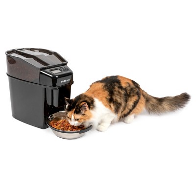 Best outdoor outlet automatic cat feeder