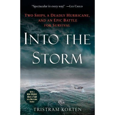 Into the Storm - by  Tristram Korten (Paperback)