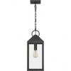 Quoizel Lighting Thorpe 1 - Light Pendant in  Mottled Black - 3 of 4