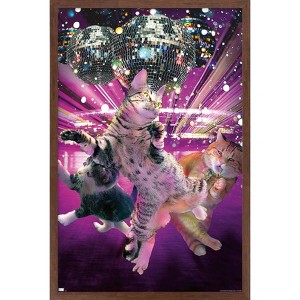 Trends International James Booker - Disco Cats Framed Wall Poster Prints - 1 of 4