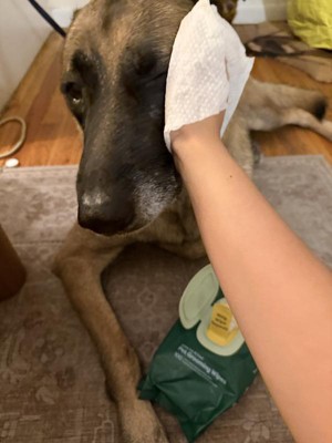 Guest review image 1 of 5, zoom in