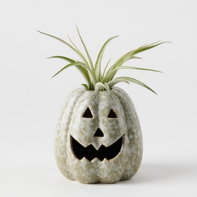 Pumpkin Spirits Slate - Good Little Garden™
