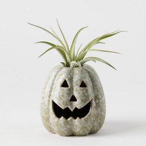 Pumpkin Spirits Slate - Good Little Garden™ - 1 of 4