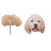 Golden Labrador Retriever Lab Dog Stud Earrings for Women Ginger Lyne Collection - 2 of 4