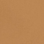 brown duck
