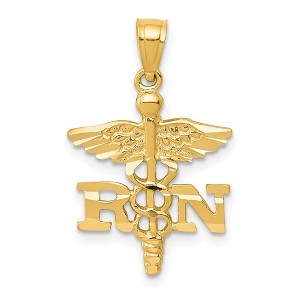 Black Bow Jewelry 14k Yellow Gold Diamond-Cut RN Nurse Pendant, 15 x22mm (9/16 x 7/8 In) - 1 of 4