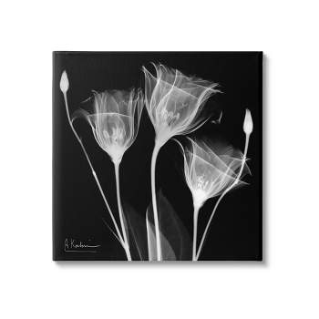 Stupell Industries Contemporary Tulip X-Ray Canvas Wall Art