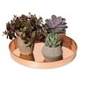 Gardener's Supply Company Large Round Copper Plant Tray | 14 inches, For Decorative Indoor Plant Flower Succulent Display - 3 of 4