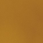 georgia bulldogs uga