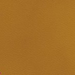 georgia bulldogs uga