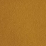 georgia bulldogs uga