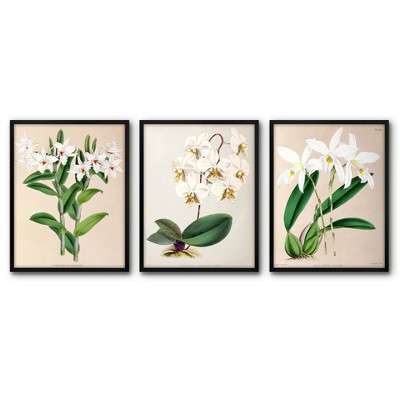 Americanflat 3 Piece 16x20 Wrapped Canvas Set - Fitch Orchid By