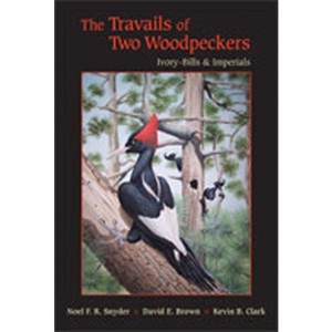 The Travails of Two Woodpeckers - by  Noel F R Snyder & David E Brown & Kevin B Clark (Hardcover) - 1 of 1