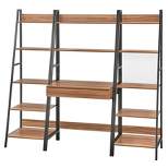 3pc Denton Ladder Desk and Shelf Walnut/Black - Buylateral