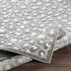 Hauteloom Greensborough Outdoor Rug - 4 of 4