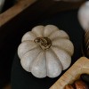 Sullivans Neutral Pumpkin Set of 2  5.5"H Brown - 2 of 3