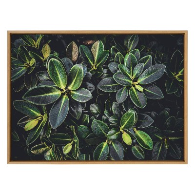Large Botanical Greenery Canvas Print with Natural Frame