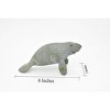 Collectible Wildlife Gifts | Manatee Toy, Sea Cow, Ocean, Dugongs,  Realistic Rubber Figure, Model, Animal, Hand Painted Figurines 6" CH0119 BB95 - 2 of 4