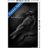 Trends International DC The Sandman (2022) - Matthew The Raven Unframed Wall Poster Prints - 3 of 4
