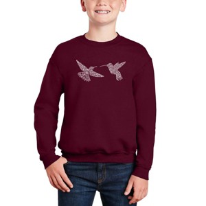 LA Pop Art Hummingbirds - Boy's Word Art Crewneck Sweatshirt - 1 of 3