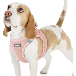 rabbitgoo Small Dog Harness, Step-in Soft Mesh Reflective Pet Harness for Small Sized Dogs, Pink M - 1 of 1