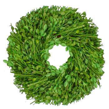 Northlight Green Foliage Artificial Spring Wreath, 10-Inch