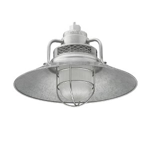 Millennium Lighting R Series 1 - Light Pendant in  Galvanized - 1 of 1