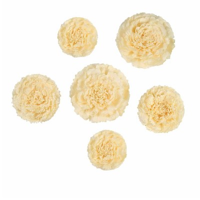 Home Collection Pack of 12 Large Carnation Paper Tissue Flowers Ivory ...