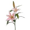 Floral Home 34" Pink White Casablanca Lily - 12-Piece - 2 of 2